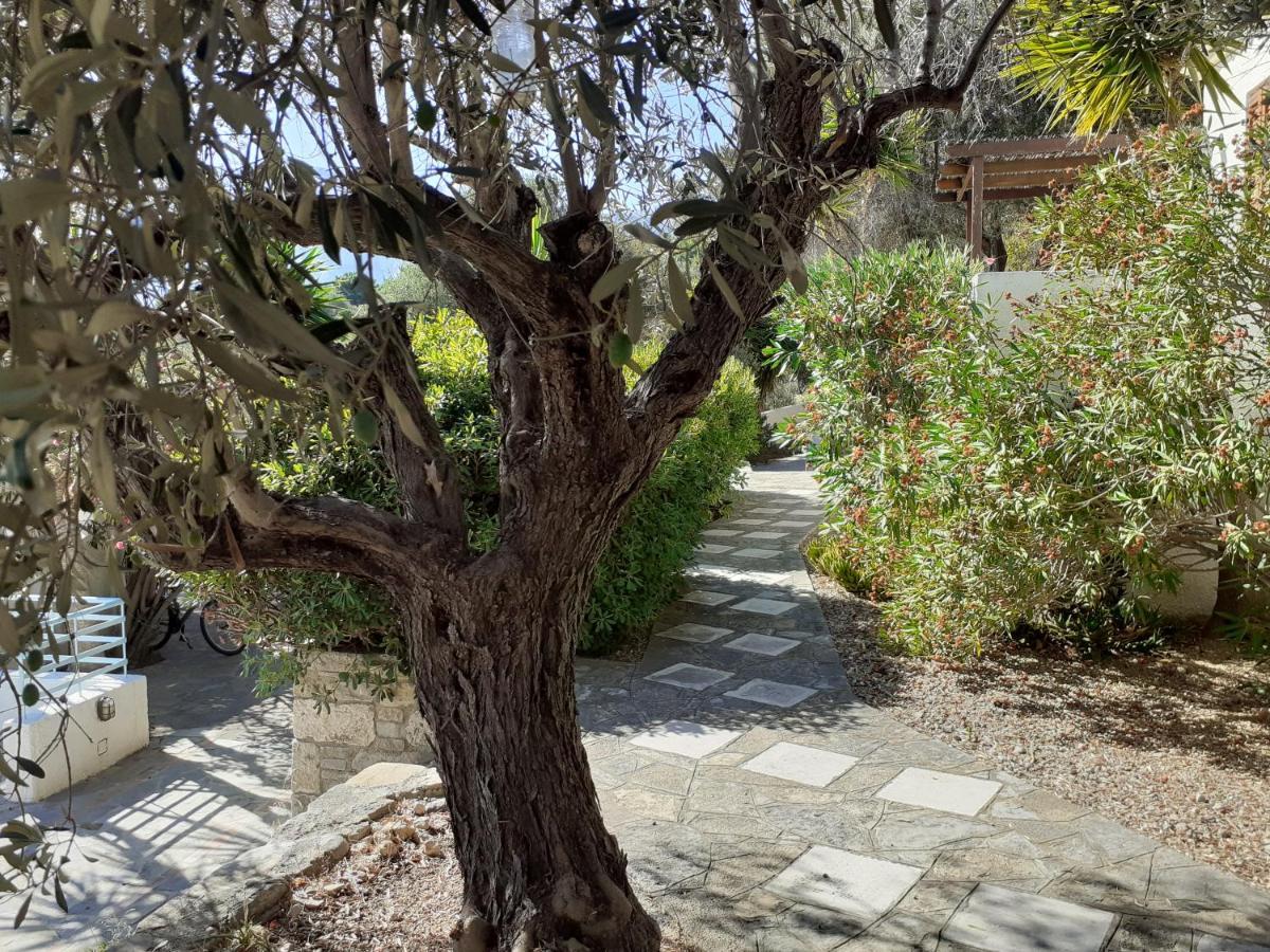 Vigla-Βίγλα 1 2 Villa Ormos  Exteriör bild