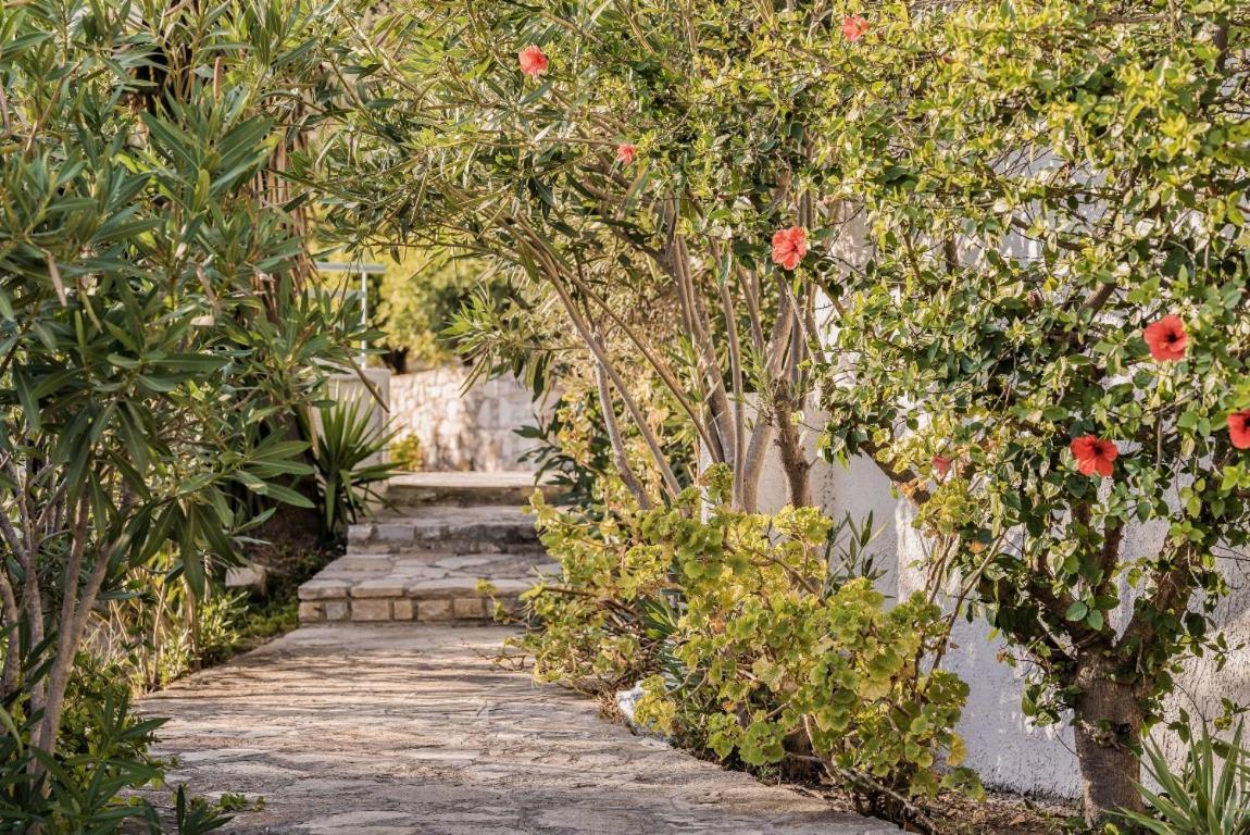 Vigla-Βίγλα 1 2 Villa Ormos  Exteriör bild