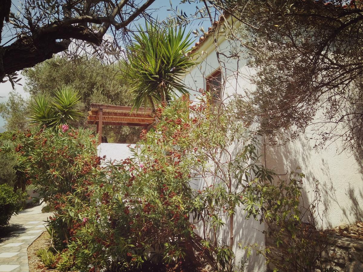 Vigla-Βίγλα 1 2 Villa Ormos  Exteriör bild