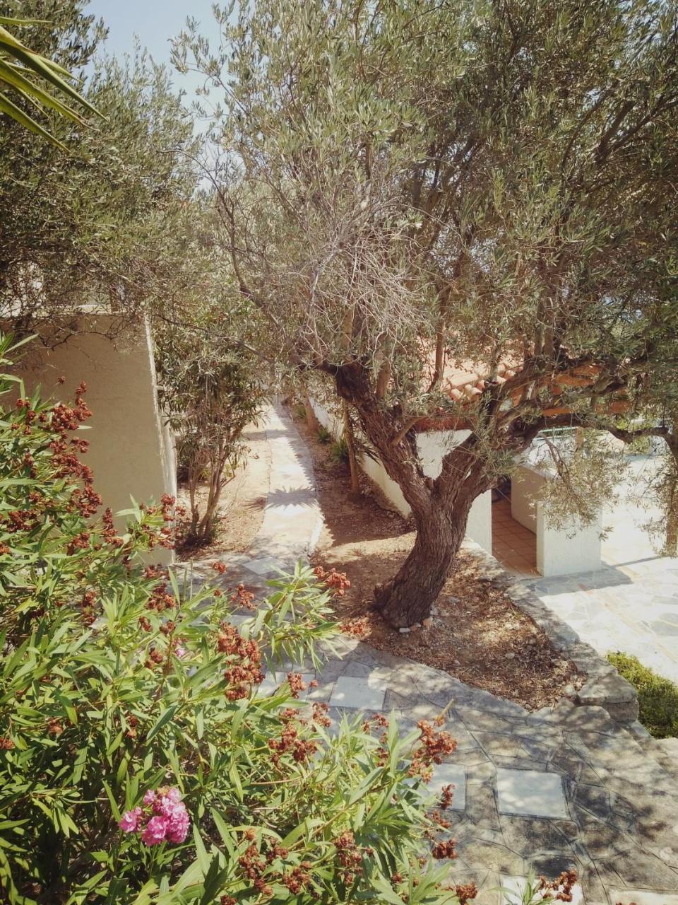 Vigla-Βίγλα 1 2 Villa Ormos  Exteriör bild