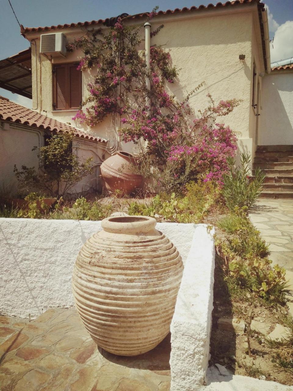 Vigla-Βίγλα 1 2 Villa Ormos  Exteriör bild